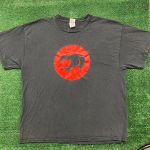 Vintage Y2K ThunderCats Logo Essential Sun Faded Baggy Tee